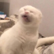 宇宙超级无敌恶魔战神