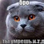 бро ты умрешь итд