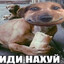 Ебака