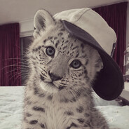 Avatar snapshot