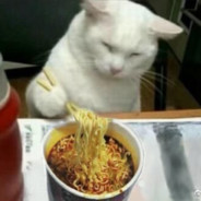 我也不想当混子の