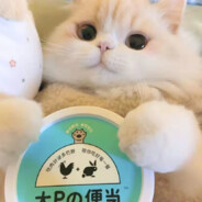 希望你开心啊1（土）