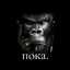 Теория о Вселенно