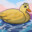 Duck Butter