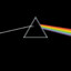 Pink Floyd Enjoyer