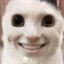 jeff