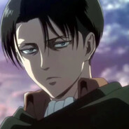 Levi