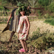 一天的快乐从白给开始