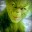 The Grinch
