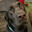 AceDog