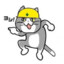 jungsocat