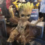 Groot_1124