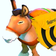 zimer - steam id 76561199819328213