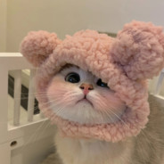 这是什么吸铁石