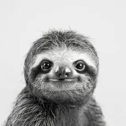 Flauschige_EA7 avatar