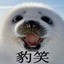 Seal