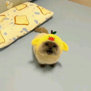 JöötiJootu69 - steam id 76561199229688556