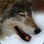 GhostMexicanWolf