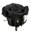 BlackRose