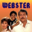 webster