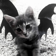 aL0nyX - steam id 76561199542654354