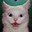 Fentanyl feline