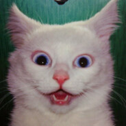 Fentanyl feline