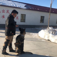 骚又骚的很弄你又不肯