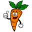 Mr.Carrot