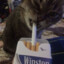 winkz