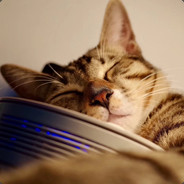 酸菜鱼的老干妈