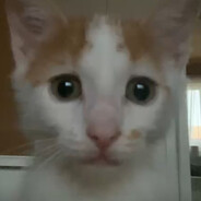 Simon (BIR)
