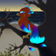 AquaPhoenix