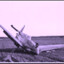 Rescuecow