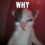WHY(ego)