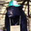 ♡Pablo EskoBear&#039;♡