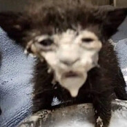 U