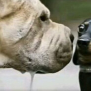 godwefr - steam id 76561199389717477