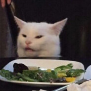 SaladCat