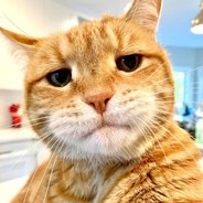 我看看怎么个事