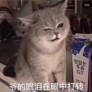 请给我点赞！！！