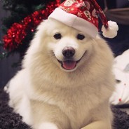 木剑已折温不胜