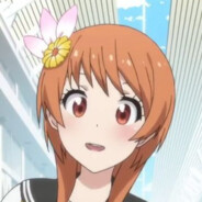 导完好想谈恋爱