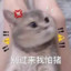 菜菜子