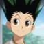 Gon