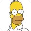 Homer