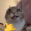 Tomasseq