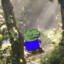 PEPEG