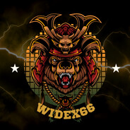 Widex66