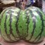 Watermelons